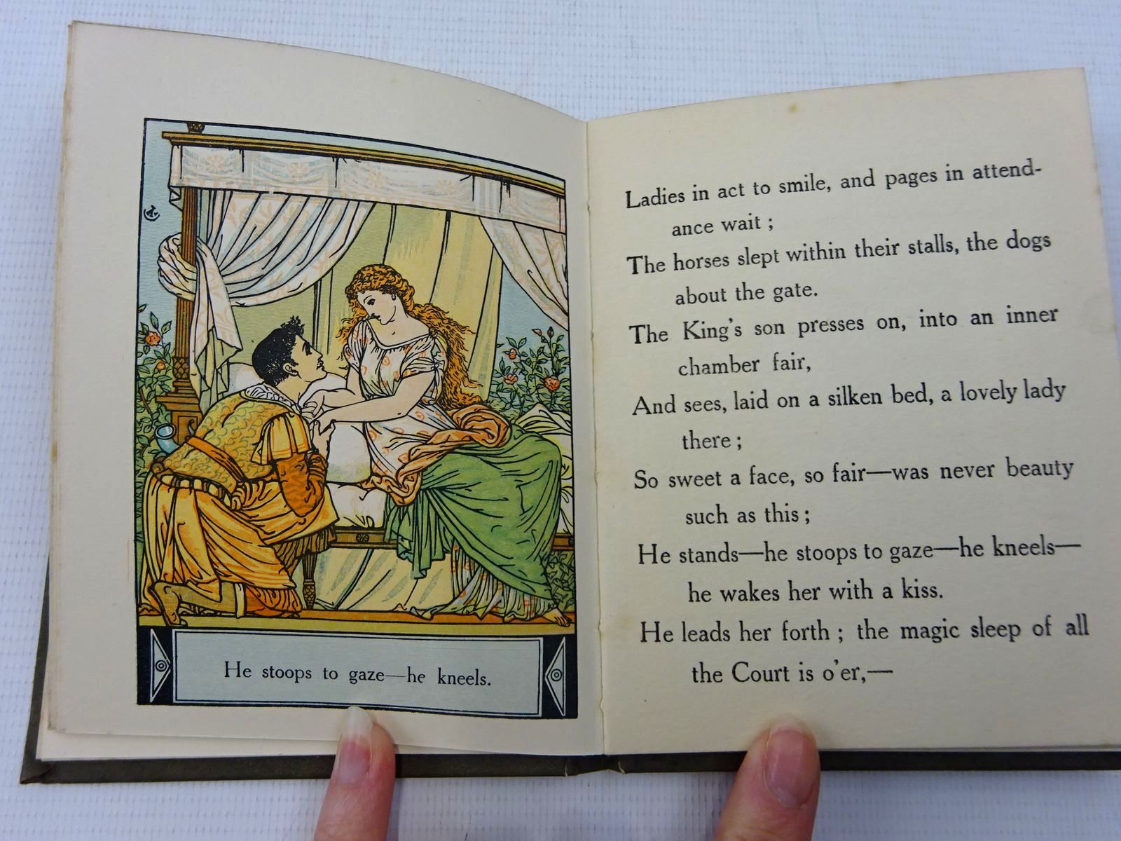 Photo of THE SLEEPING BEAUTY AND BLUE BEARD written by Crane, Walter illustrated by Crane, Walter published by John Lane The Bodley Head (STOCK CODE: 2128334)  for sale by Stella & Rose's Books