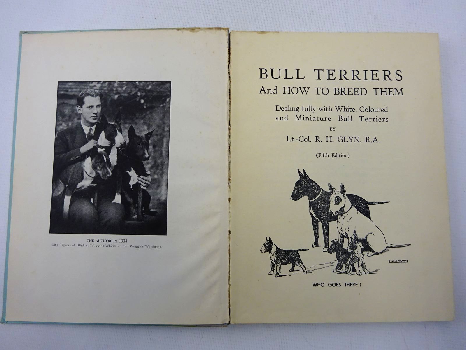 Photo of BULL TERRIERS AND HOW TO BREED THEM written by Glyn, R.H. published by Hall The Publisher (STOCK CODE: 2128421)  for sale by Stella & Rose's Books