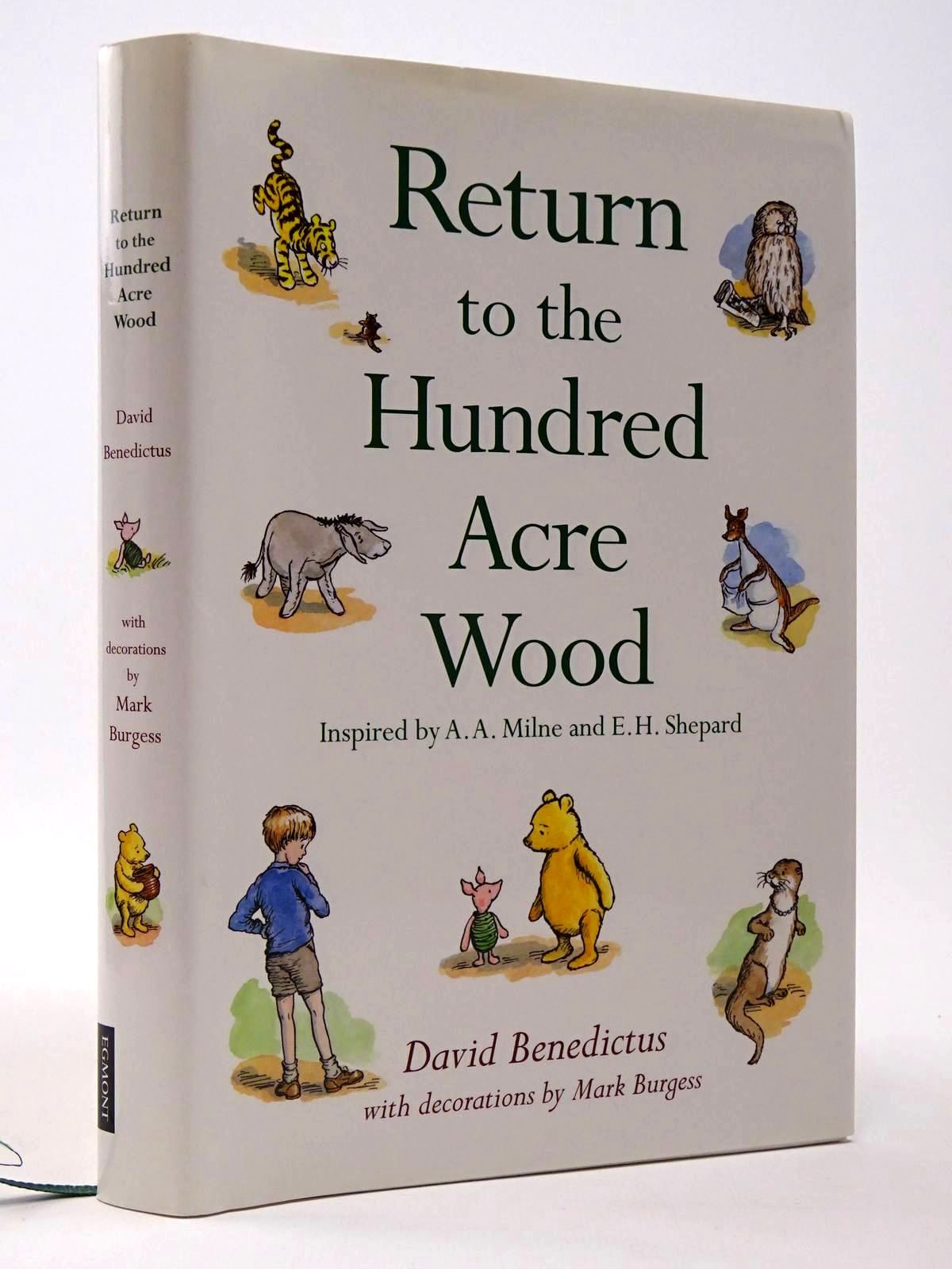 Photo of RETURN TO THE HUNDRED ACRE WOOD- Stock Number: 2129546