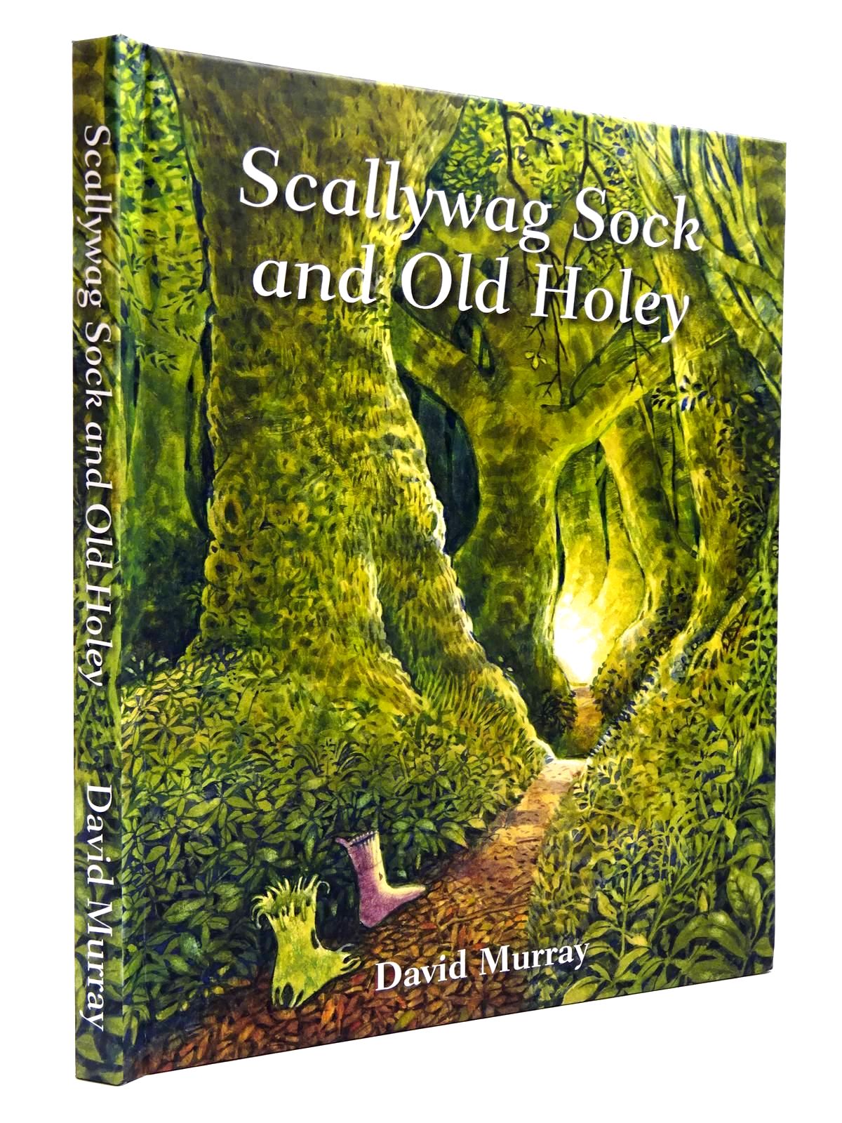 Photo of SCALLYWAG SOCK AND OLD HOLEY written by Murray, David illustrated by Murray, David (STOCK CODE: 2130580)  for sale by Stella & Rose's Books