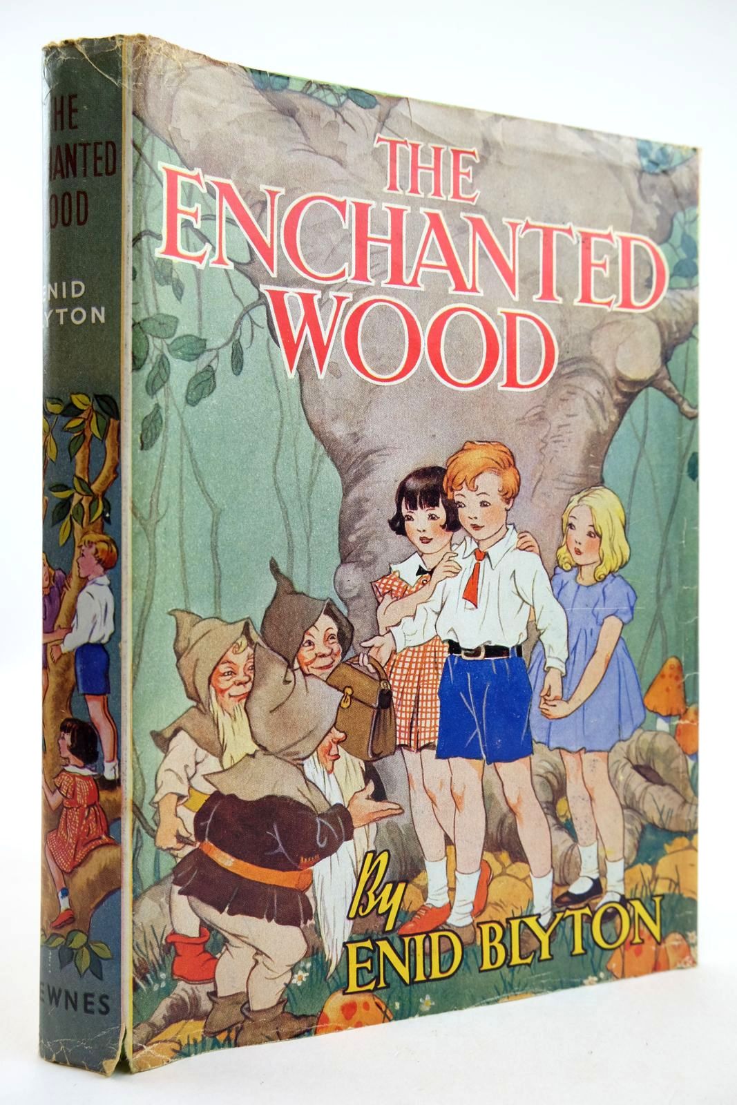 The Enchanted Wood