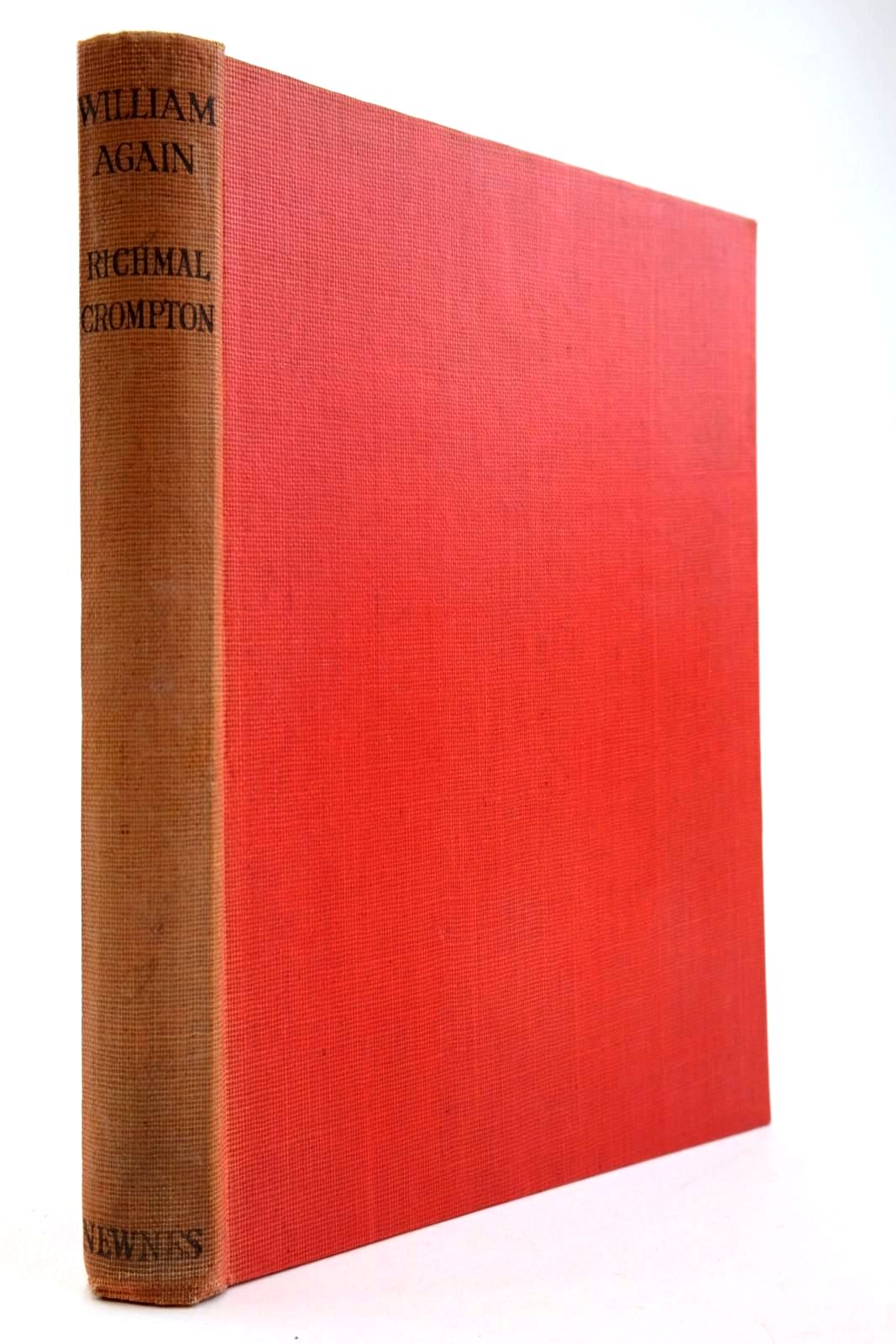 Photo of WILLIAM AGAIN- Stock Number: 2133983