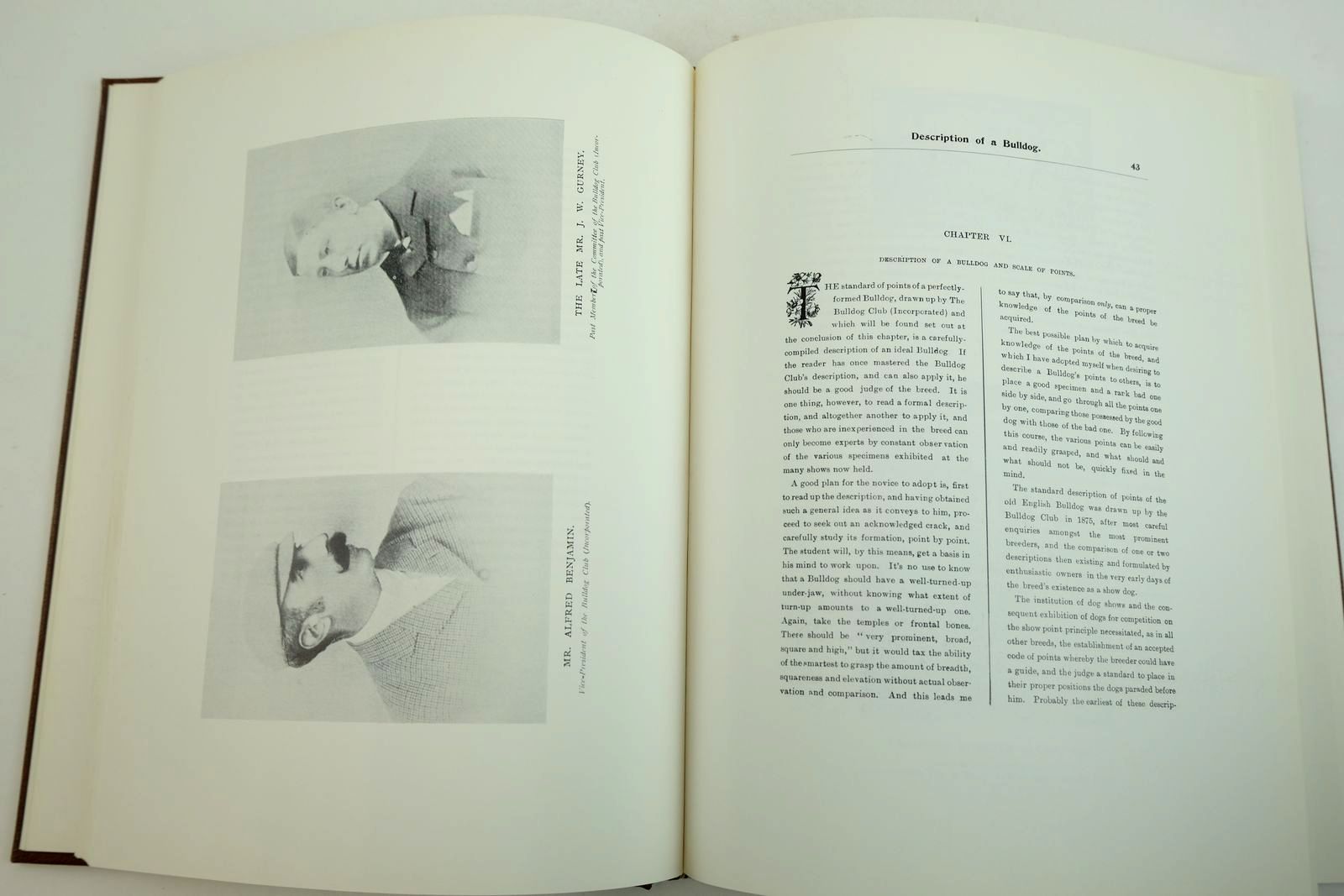 Photo of THE BULLDOG A MONOGRAPH written by Farman, Edgar published by Nimrod Book Services (STOCK CODE: 2134326)  for sale by Stella & Rose's Books