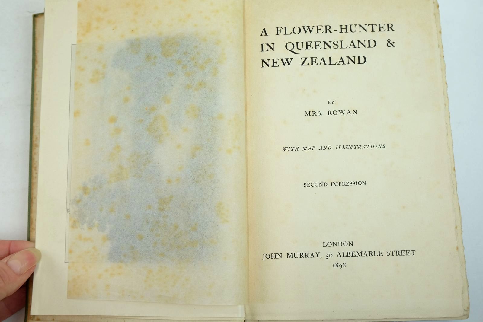 Photo of A FLOWER-HUNTER IN QUEENSLAND & NEW ZEALAND written by Rowan, Mrs. published by John Murray (STOCK CODE: 2134444)  for sale by Stella & Rose's Books