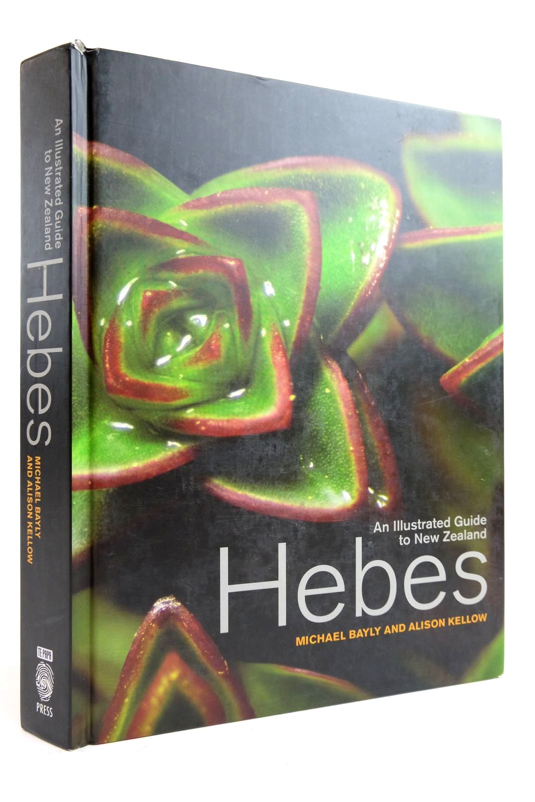 Photo of AN ILLUSTRATED GUIDE TO NEW ZEALAND HEBES- Stock Number: 2135370