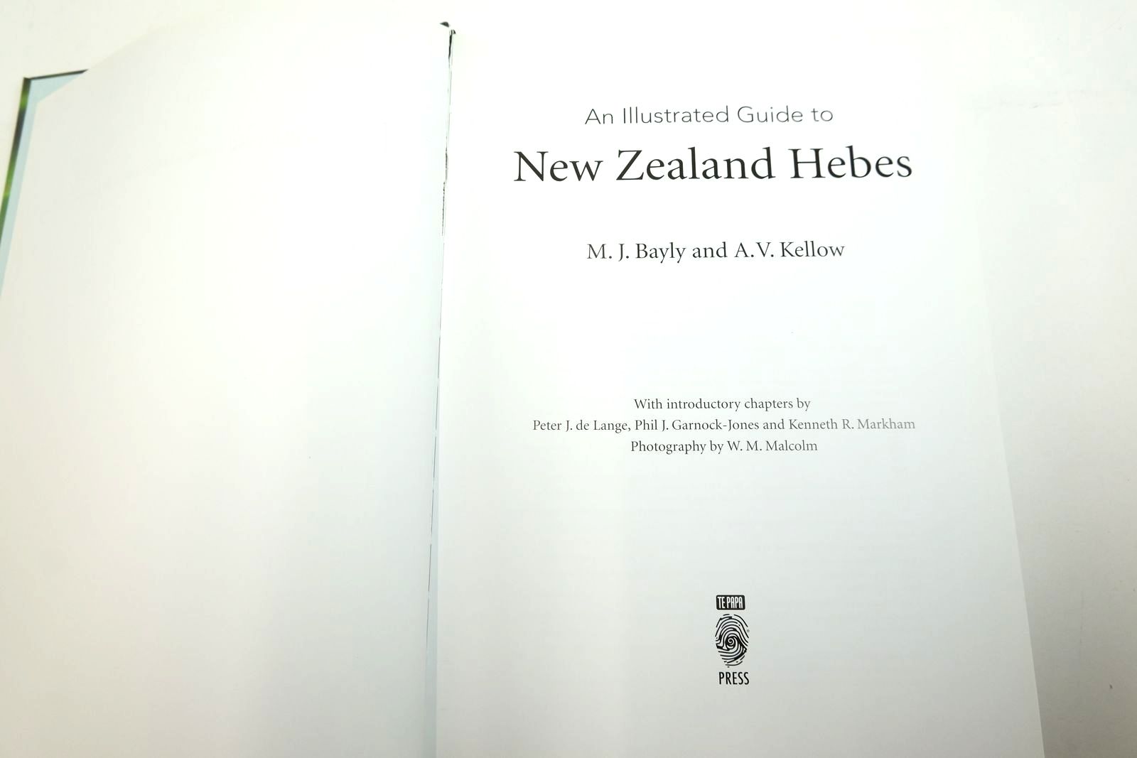 Photo of AN ILLUSTRATED GUIDE TO NEW ZEALAND HEBES written by Bayly, M.J.
Kellow, A.V.
et al,  published by Te Papa Press (STOCK CODE: 2135370)  for sale by Stella & Rose's Books