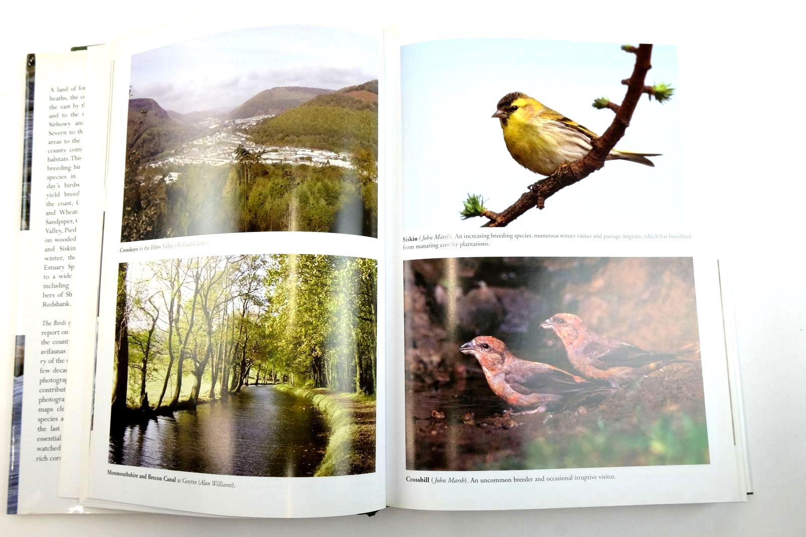 Photo of THE BIRDS OF GWENT written by Venables, W.A.
Baker, A.D.
et al,  published by Christopher Helm (STOCK CODE: 2135843)  for sale by Stella & Rose's Books