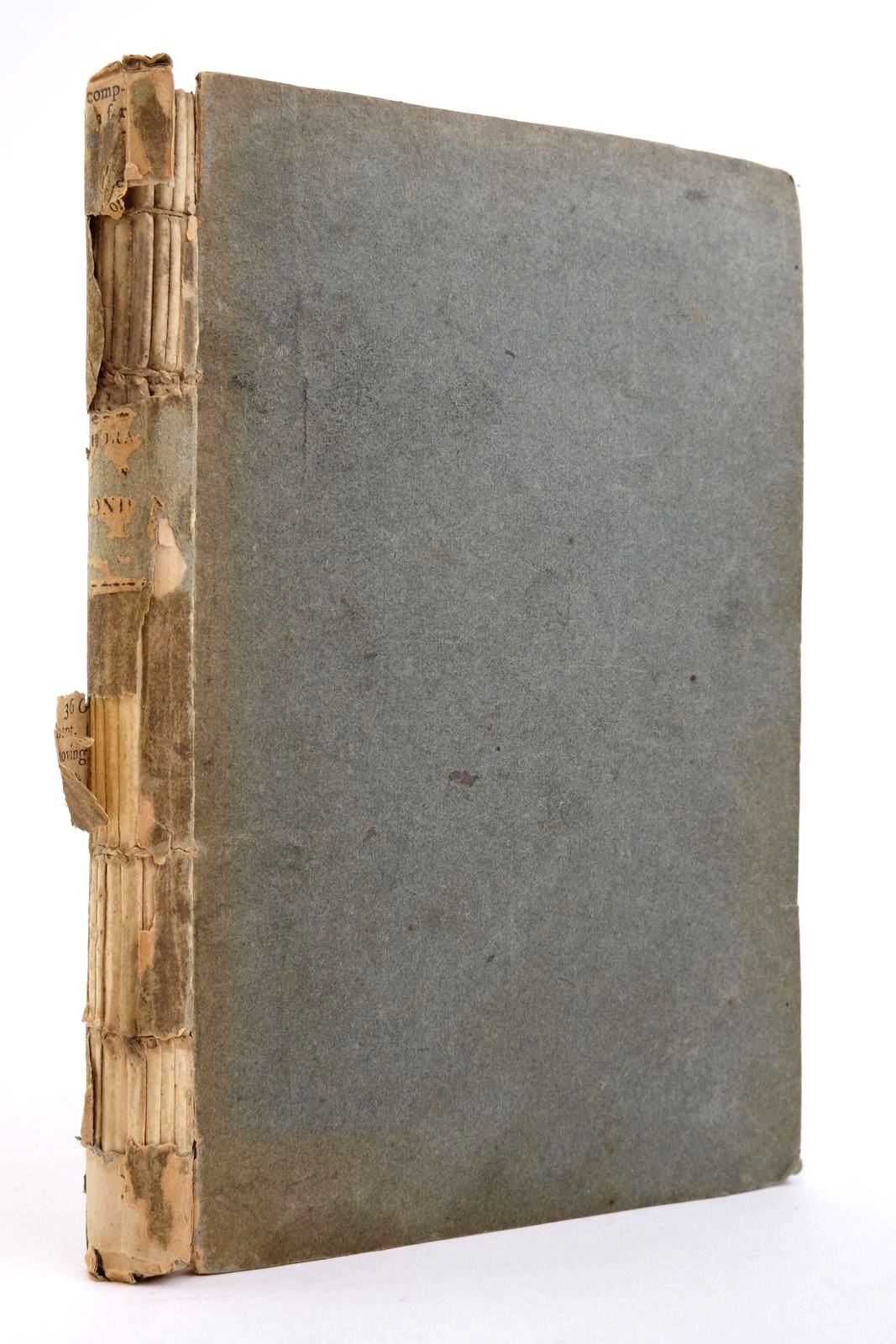 Photo of HORACE IN LONDON- Stock Number: 2135876