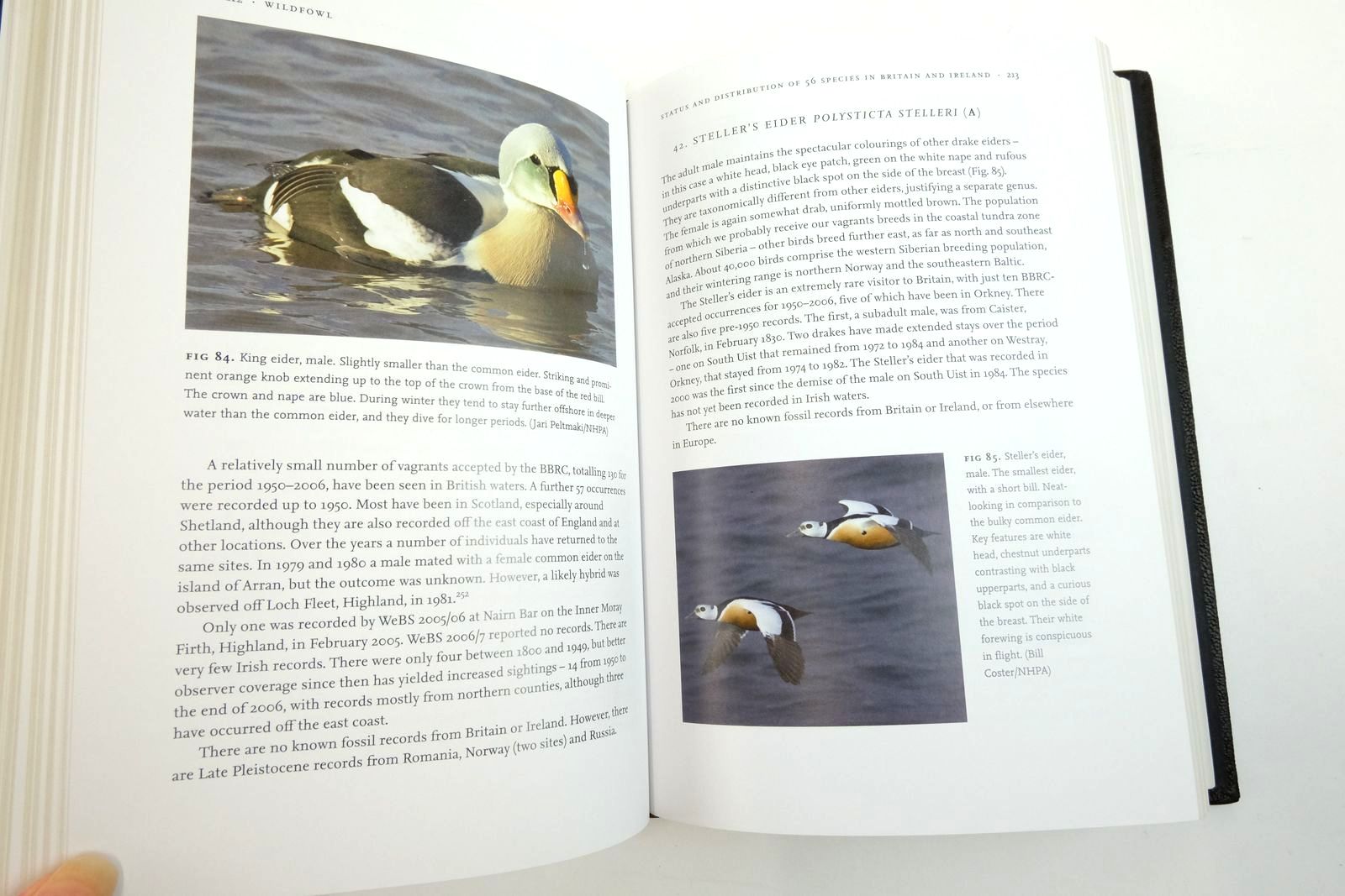 Photo of WILDFOWL (NN 110) written by Cabot, David published by Collins (STOCK CODE: 2135984)  for sale by Stella & Rose's Books