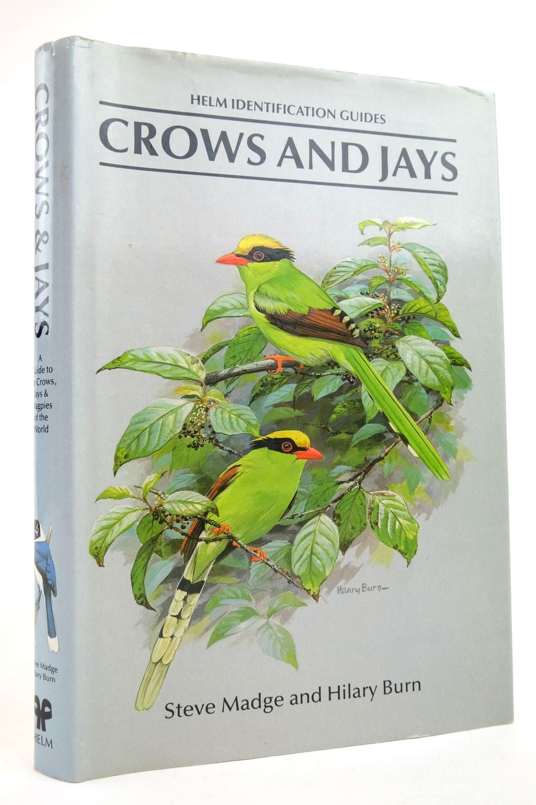 Photo of CROWS AND JAYS (HELM IDENTIFICATION GUIDES)- Stock Number: 2136049