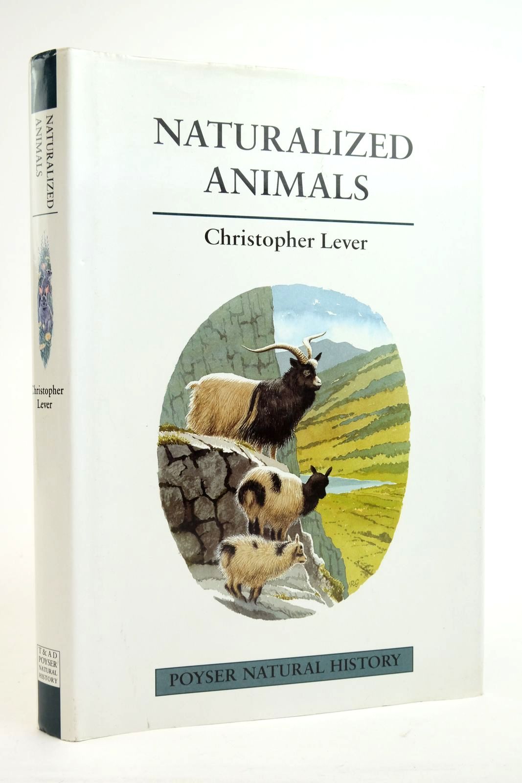 Photo of NATURALIZED ANIMALS: THE ECOLOGY OF SUCCESSFULLY INTRODUCED SPECIES written by Lever, Christopher illustrated by Gillmor, Robert published by T. & A.D. Poyser (STOCK CODE: 2136324)  for sale by Stella & Rose's Books