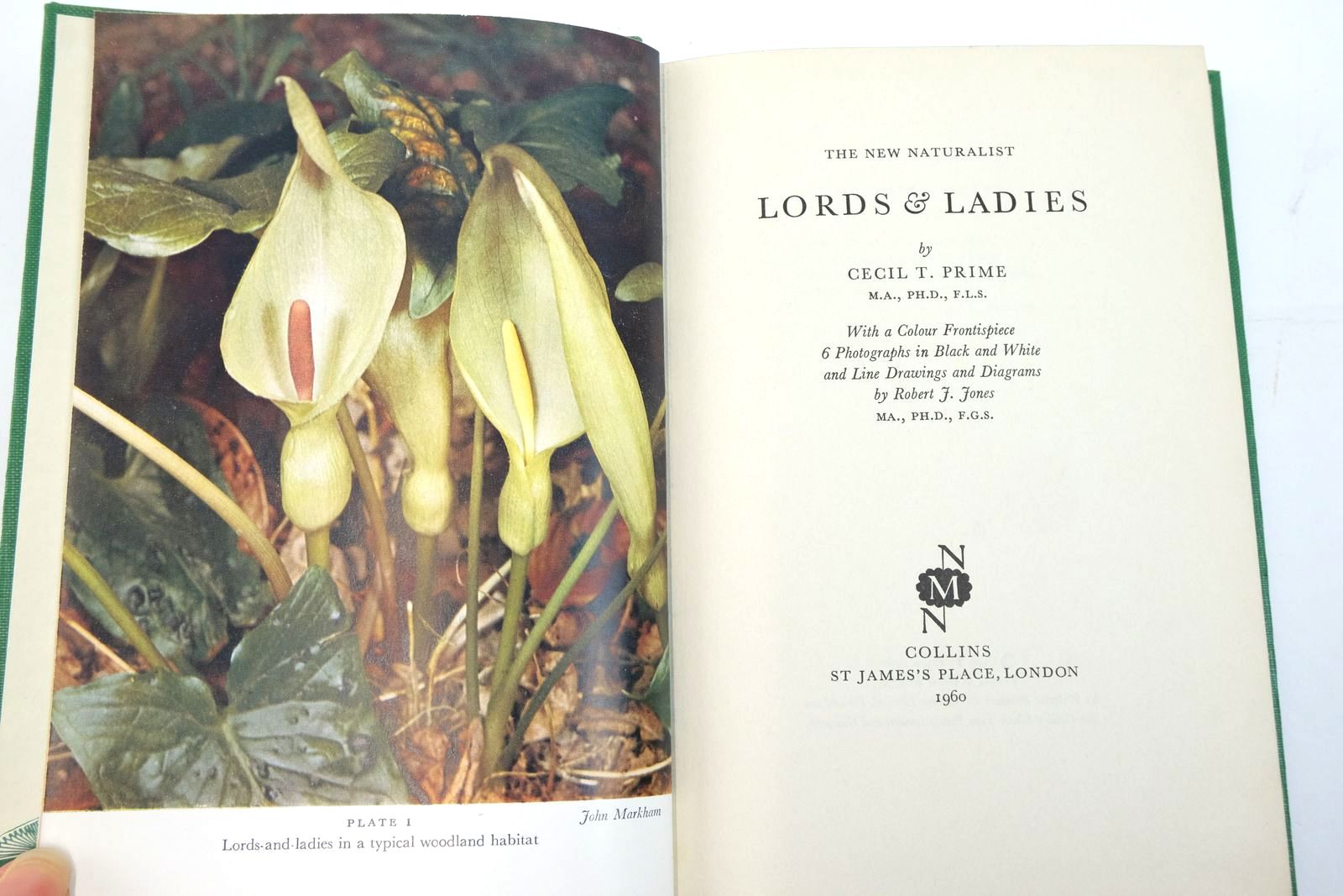 Photo of LORDS & LADIES (NMN 17) written by Prime, C.T. illustrated by Jones, Robert J. published by Collins (STOCK CODE: 2136930)  for sale by Stella & Rose's Books