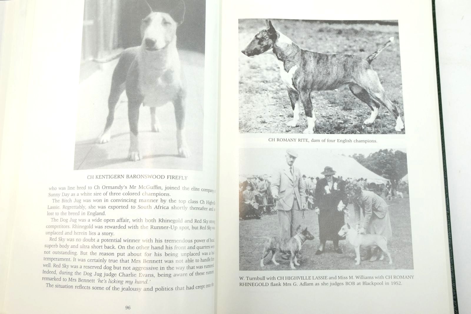 Photo of FULL CIRCLE: A HISTORY OF THE COLORED BULL TERRIER written by Harris, David O. published by David Harris (STOCK CODE: 2136933)  for sale by Stella & Rose's Books