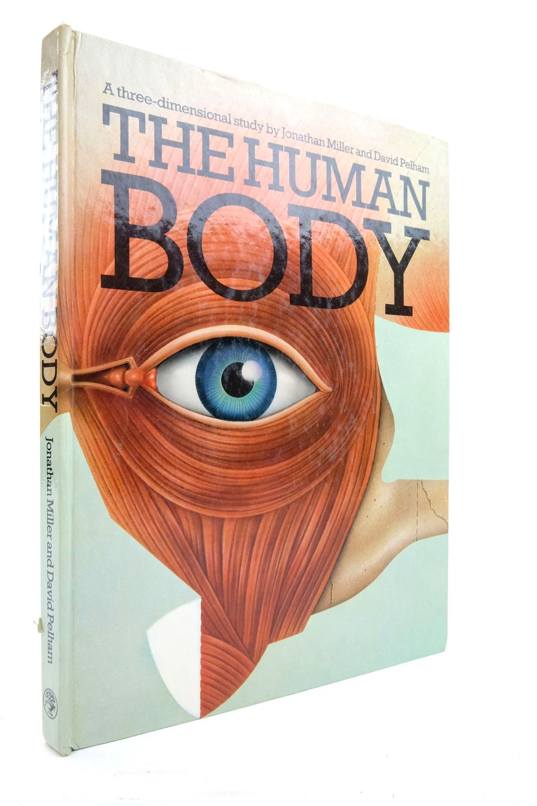 Photo of THE HUMAN BODY written by Miller, Jonathan Pelham, David illustrated by Willock, Harry published by Jonathan Cape (STOCK CODE: 2137404)  for sale by Stella & Rose's Books