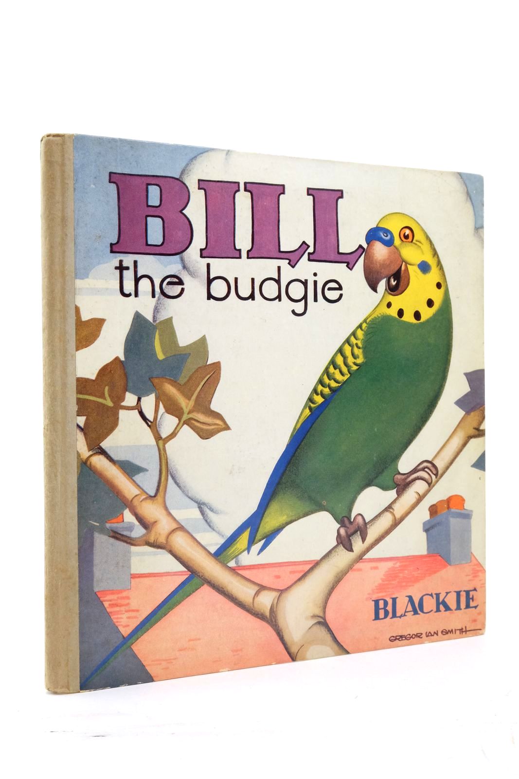 Photo of BILL THE BUDGIE- Stock Number: 2137485