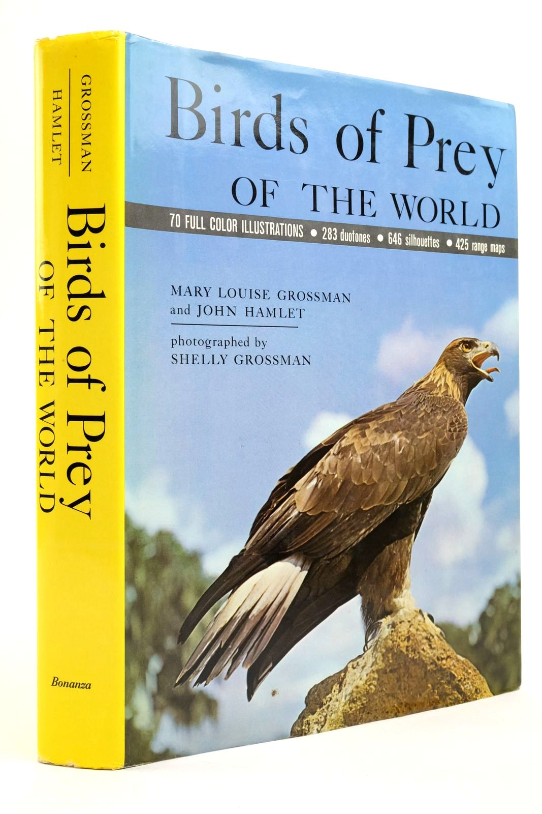Photo of BIRDS OF PREY OF THE WORLD written by Grossman, Mary Louise Hamlet, John published by Bonanza Books (STOCK CODE: 2138593)  for sale by Stella & Rose's Books