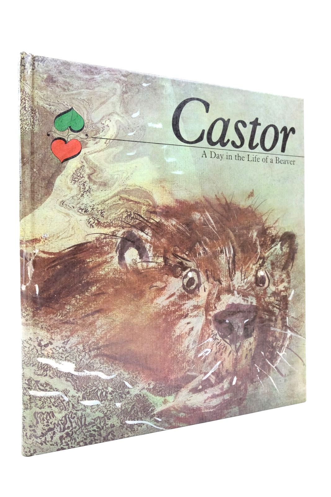 Photo of CASTOR: A DAY IN THE LIFE OF A BEAVER- Stock Number: 2138634