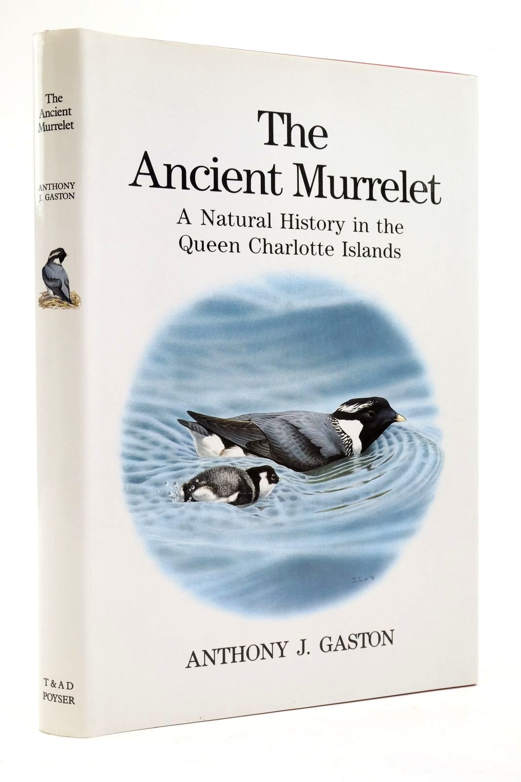Photo of THE ANCIENT MURRELET written by Gaston, Anthony J. illustrated by Jones, Ian published by T. &amp; A.D. Poyser (STOCK CODE: 2138793)  for sale by Stella & Rose's Books