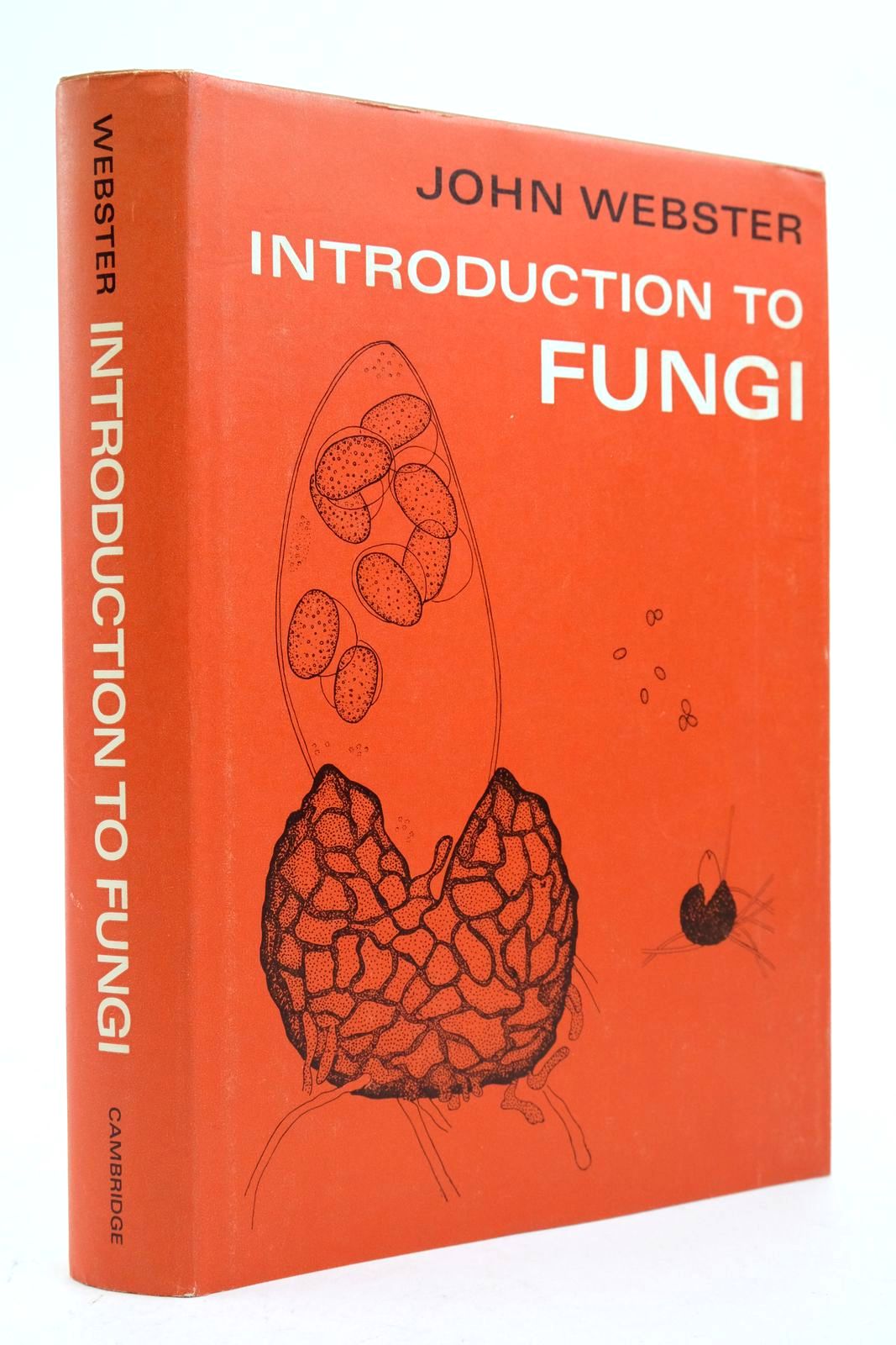 Photo of INTRODUCTION TO FUNGI- Stock Number: 2139122