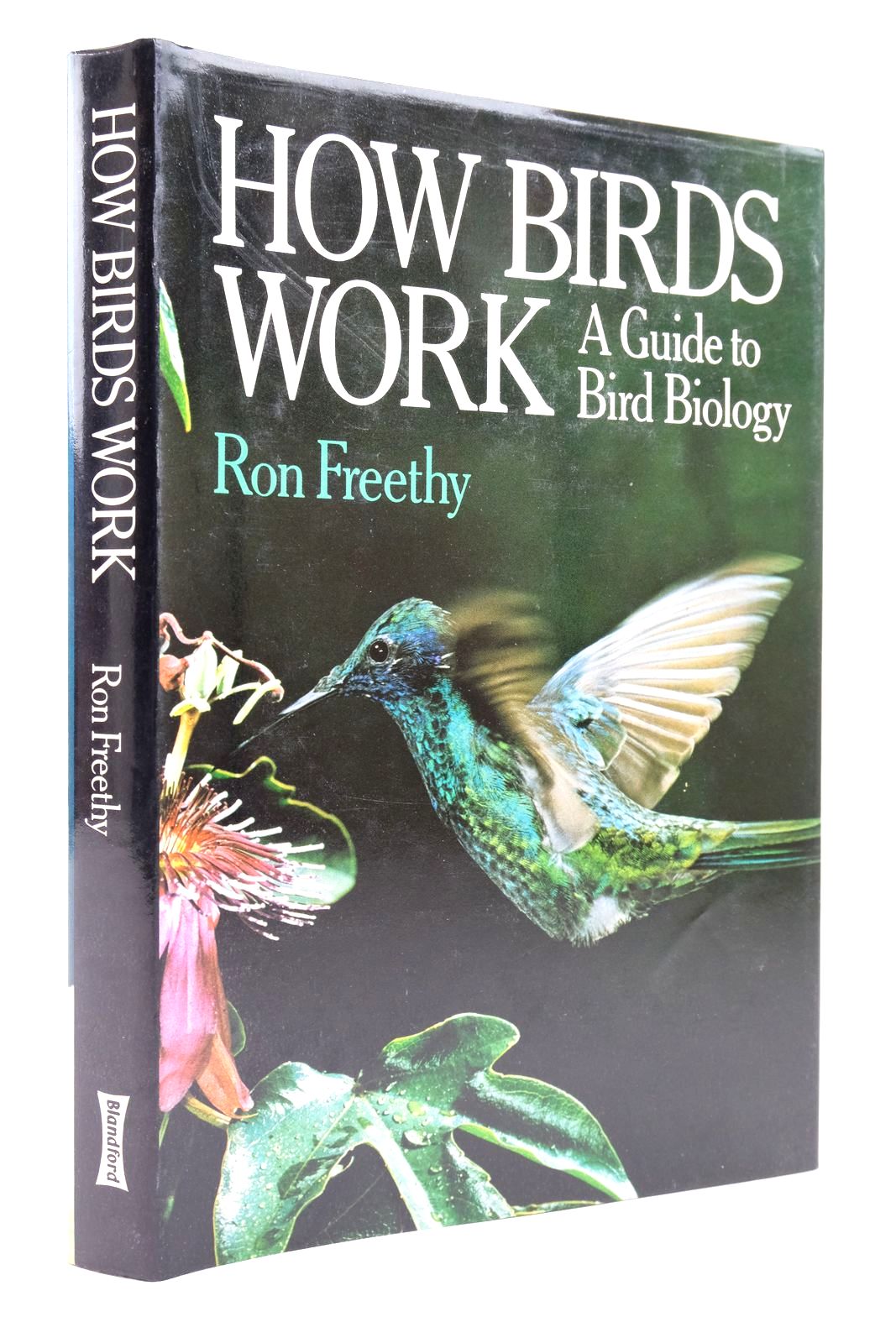 Photo of HOW BIRDS WORK written by Freethy, Ron published by Blandford Press (STOCK CODE: 2139127)  for sale by Stella & Rose's Books