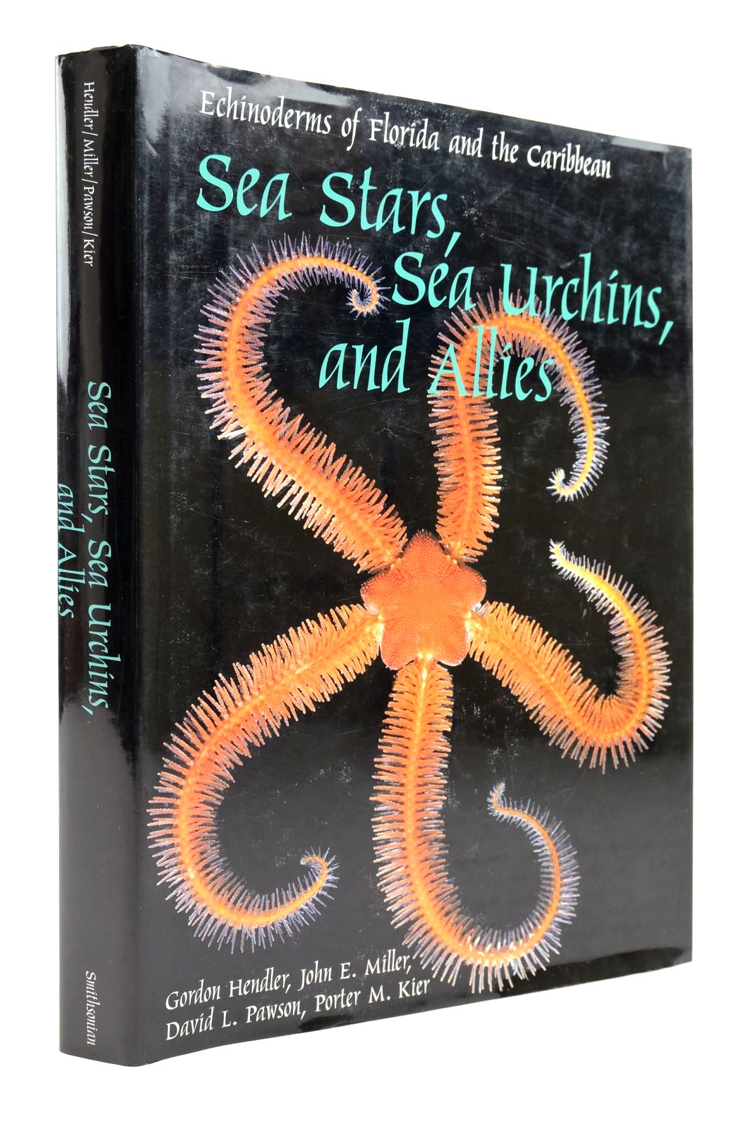 Photo of SEA STARS, SEA URCHINS, AND ALLIES: ACHINODERMS OF FLORIDA AND THE CARIBBEAN written by Hendler, Gordon Miller, John E. Pawson, David L. Kier, Porter M. published by Smithsonian Institution Press (STOCK CODE: 2139131)  for sale by Stella & Rose's Books