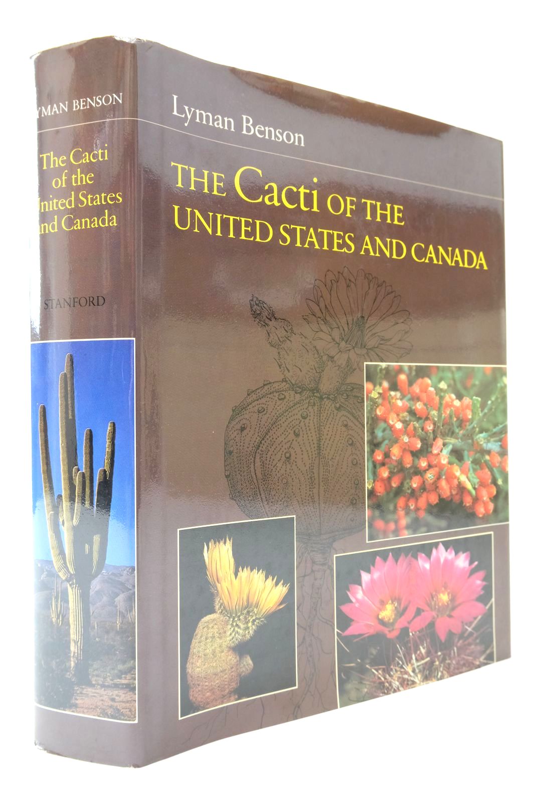 The Cacti of The United States and Canada