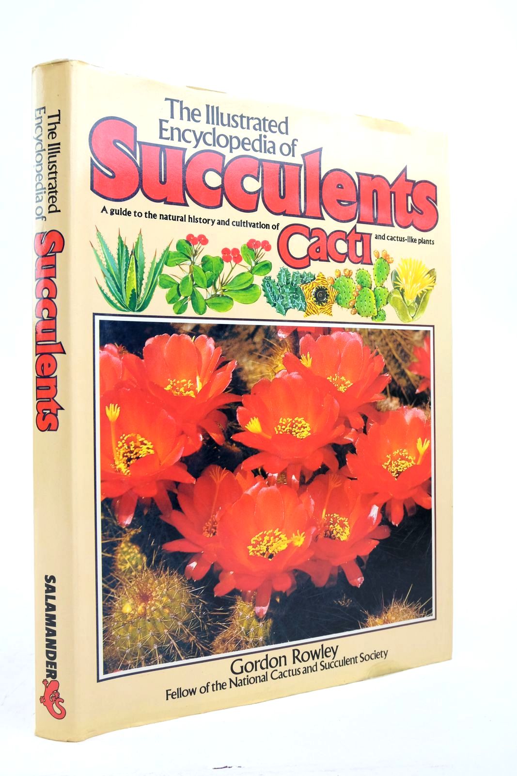 Photo of THE ILLUSTRATED ENCYCLOPEDIA OF SUCCULENTS written by Rowley, Gordon published by Salamander Books Ltd (STOCK CODE: 2139190)  for sale by Stella & Rose's Books