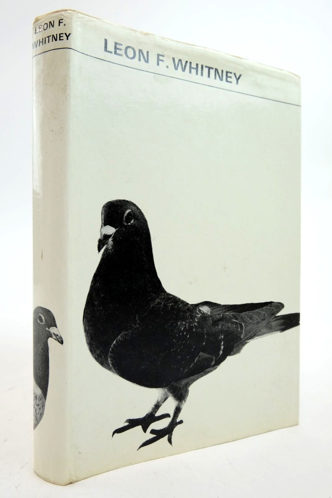 Photo of THE BASIS OF BREEDING RACING PIGEONS written by Whitney, Leon F. published by Faber &amp; Faber (STOCK CODE: 2139605)  for sale by Stella & Rose's Books