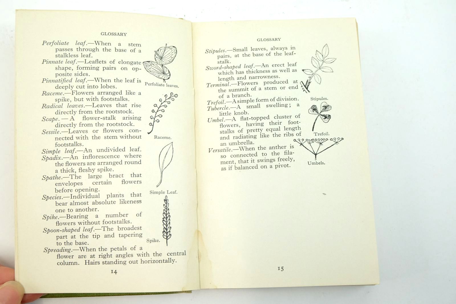 Photo of THE OBSERVER'S BOOK OF BRITISH WILD FLOWERS written by Stokoe, W.J. published by Frederick Warne & Co Ltd. (STOCK CODE: 2139674)  for sale by Stella & Rose's Books
