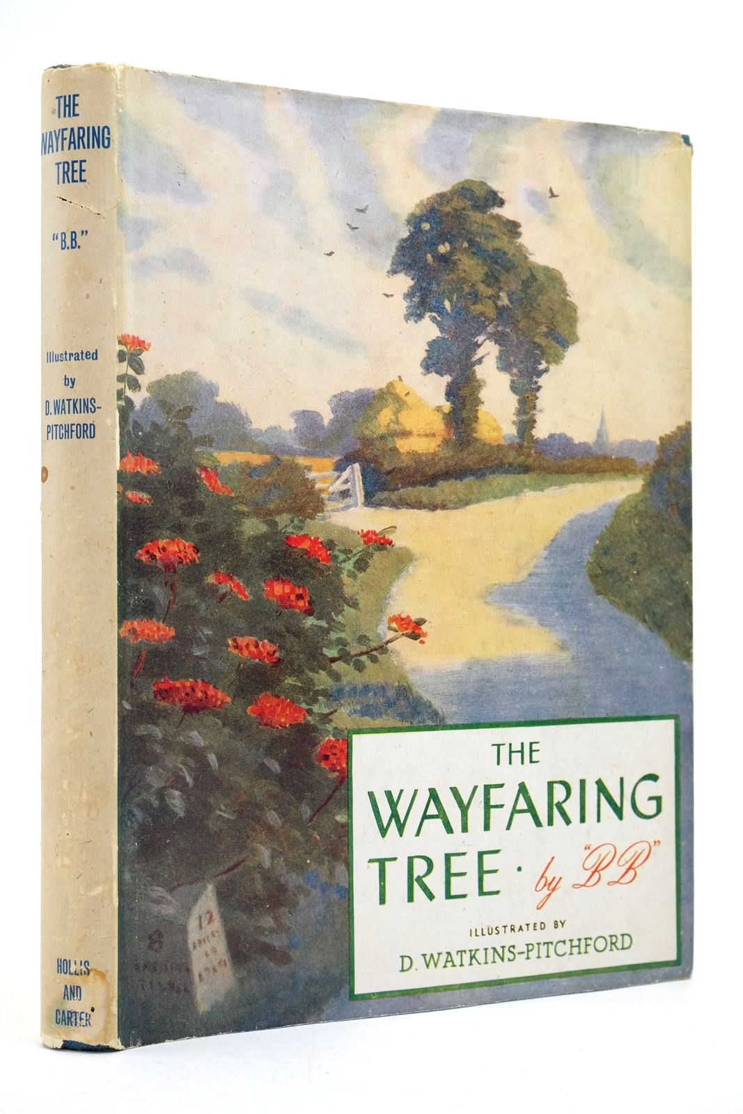 Photo of THE WAYFARING TREE- Stock Number: 2139710
