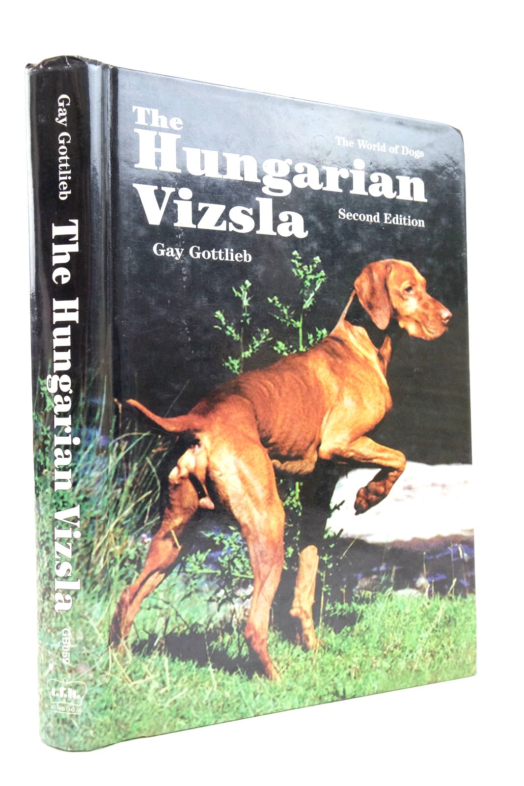 Photo of THE HUNGARIAN VIZSLA- Stock Number: 2139746