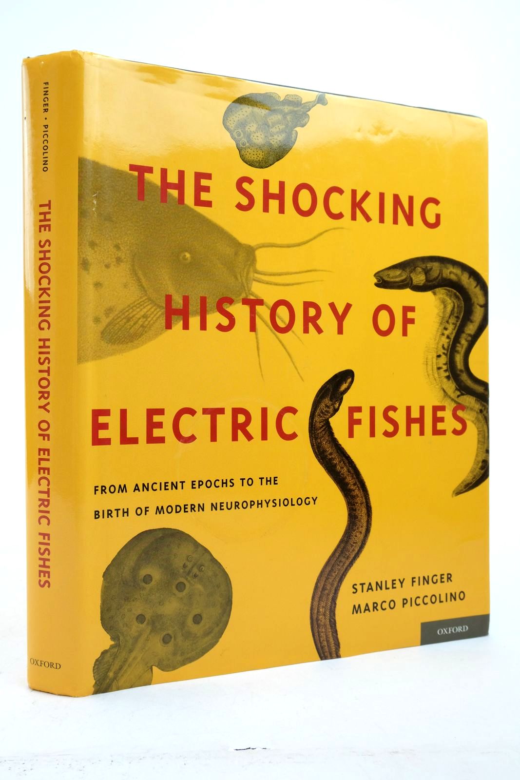 Photo of THE SHOCKING HISTORY OF ELECTRIC FISHES: FROM ANCIENT EPOCHS TO THE BIRTH OF MODERN NEUROPHYSIOLOGY written by Finger, Stanley Piccolino, Marco published by Oxford University Press (STOCK CODE: 2139749)  for sale by Stella & Rose's Books