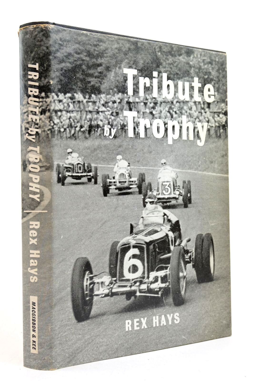 Photo of TRIBUTE BY TROPHY- Stock Number: 2139989