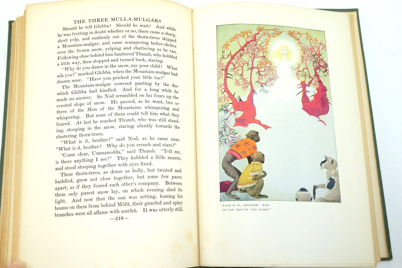 Photo of THE THREE MULLA-MULGARS written by De La Mare, Walter illustrated by Lathrop, Dorothy P. published by Duckworth & Co. (STOCK CODE: 2140155)  for sale by Stella & Rose's Books