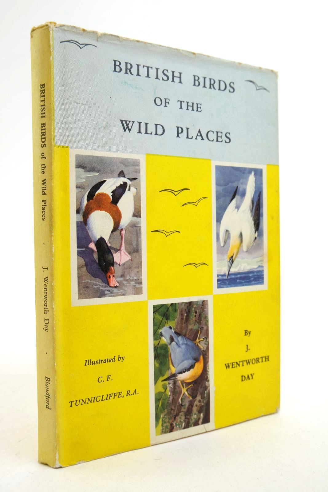 Photo of BRITISH BIRDS OF THE WILD PLACES written by Day, J. Wentworth illustrated by Tunnicliffe, C.F. published by Blandford Press (STOCK CODE: 2140181)  for sale by Stella & Rose's Books