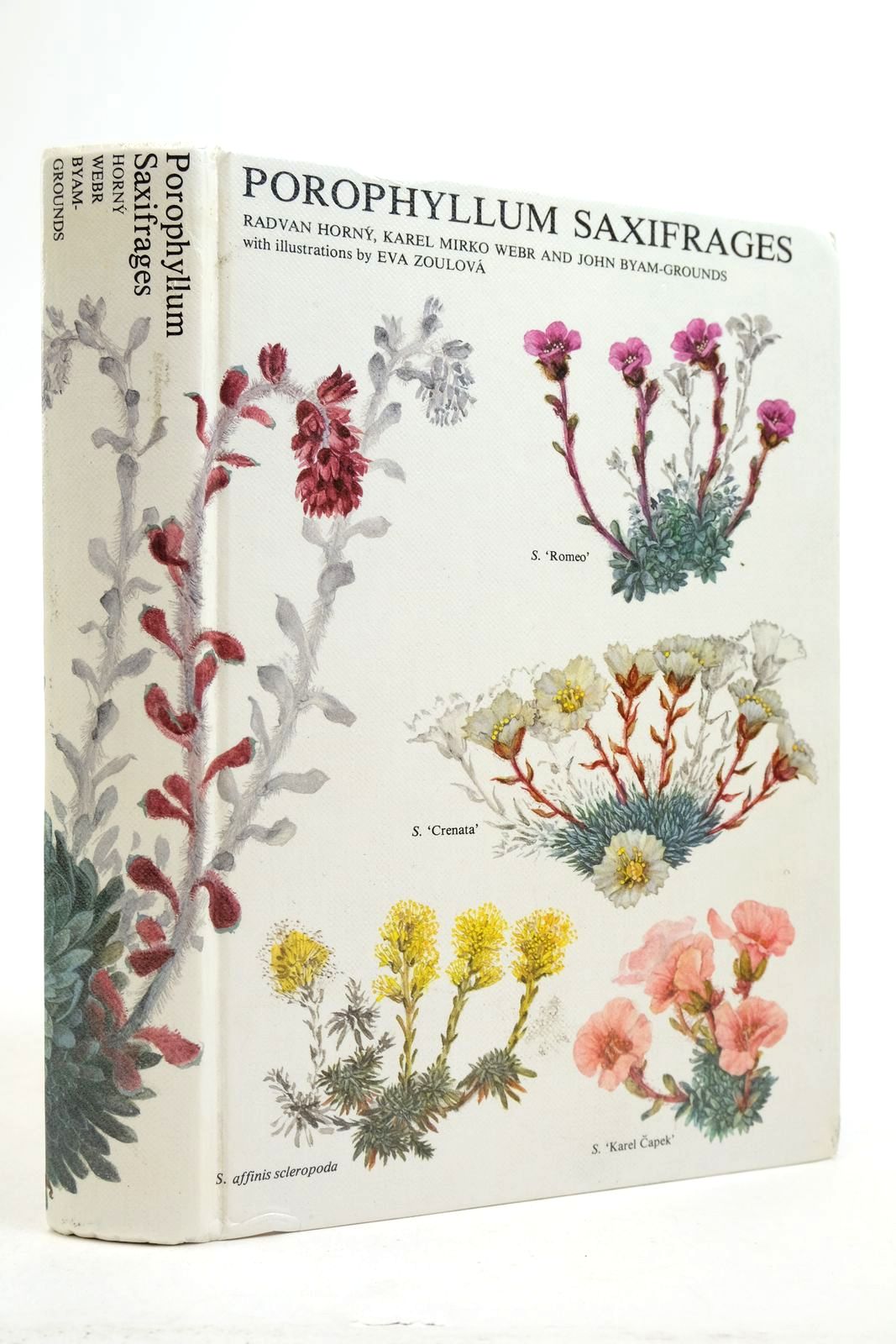 Photo of POROPHYLLUM SAXIFRAGES written by Horny, Radvan Webr, Karel Mirko Byam-Grounds, John (STOCK CODE: 2140246)  for sale by Stella & Rose's Books