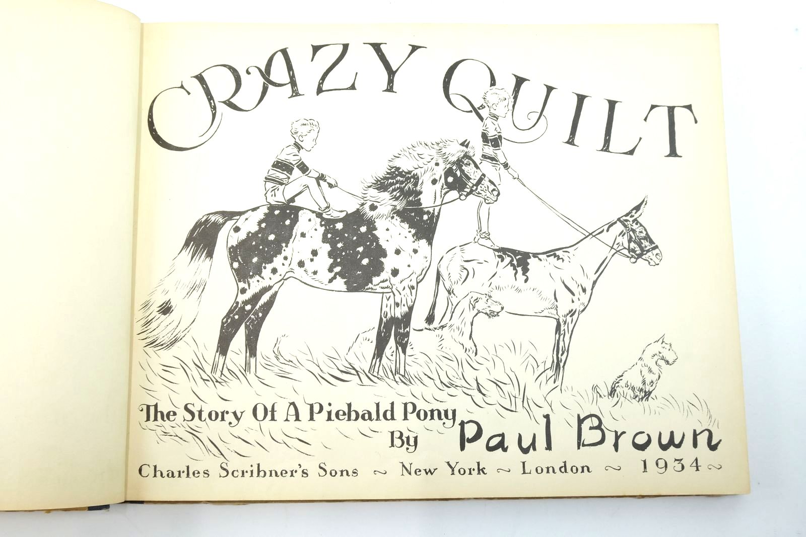 Photo of CRAZY QUILT: THE STORY OF A PIEBALD PONY written by Brown, Paul illustrated by Brown, Paul published by Charles Scribner's Sons (STOCK CODE: 2140384)  for sale by Stella & Rose's Books