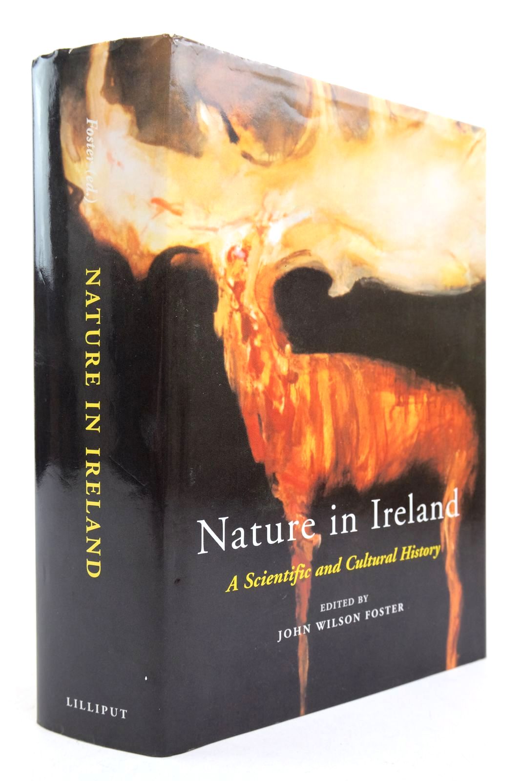 Photo of NATURE IN IRELAND: A SCIENTIFIC AND CULTURAL HISTORY written by Foster, John Wilson Chesney, Helena C.G. published by The Lilliput Press (STOCK CODE: 2140643)  for sale by Stella & Rose's Books