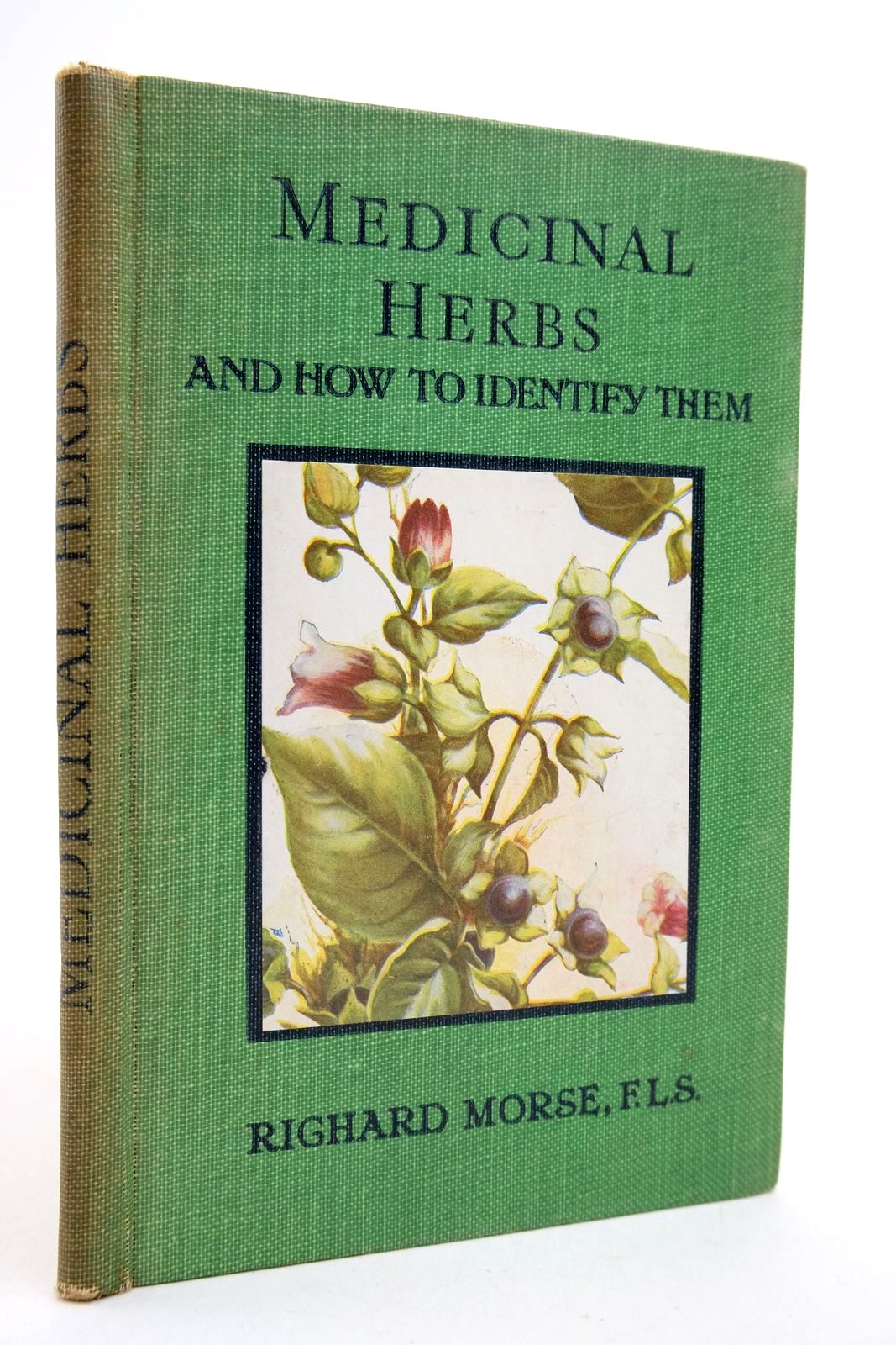 Photo of MEDICINAL HERBS AND HOW TO IDENTIFY THEM written by Morse, Richard illustrated by Wood, Phoebe Lawson published by The Epworth Press (STOCK CODE: 2140660)  for sale by Stella & Rose's Books