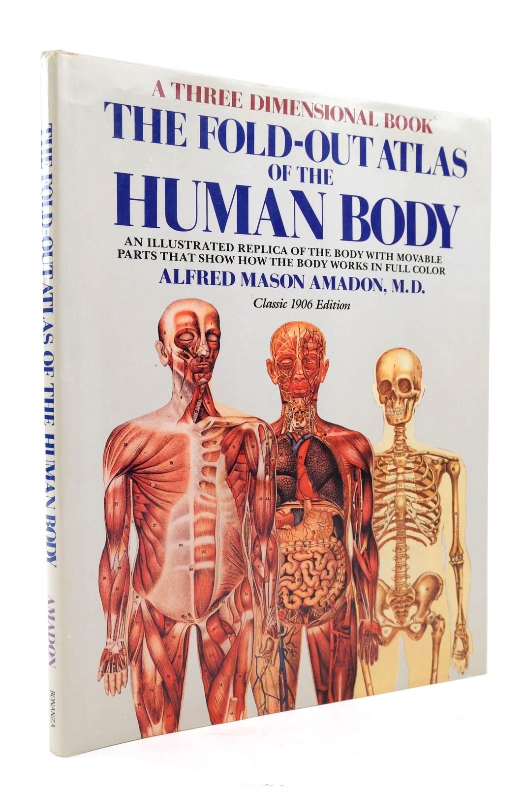 Photo of THE FOLD-OUT ATLAS OF THE HUMAN BODY- Stock Number: 2140914
