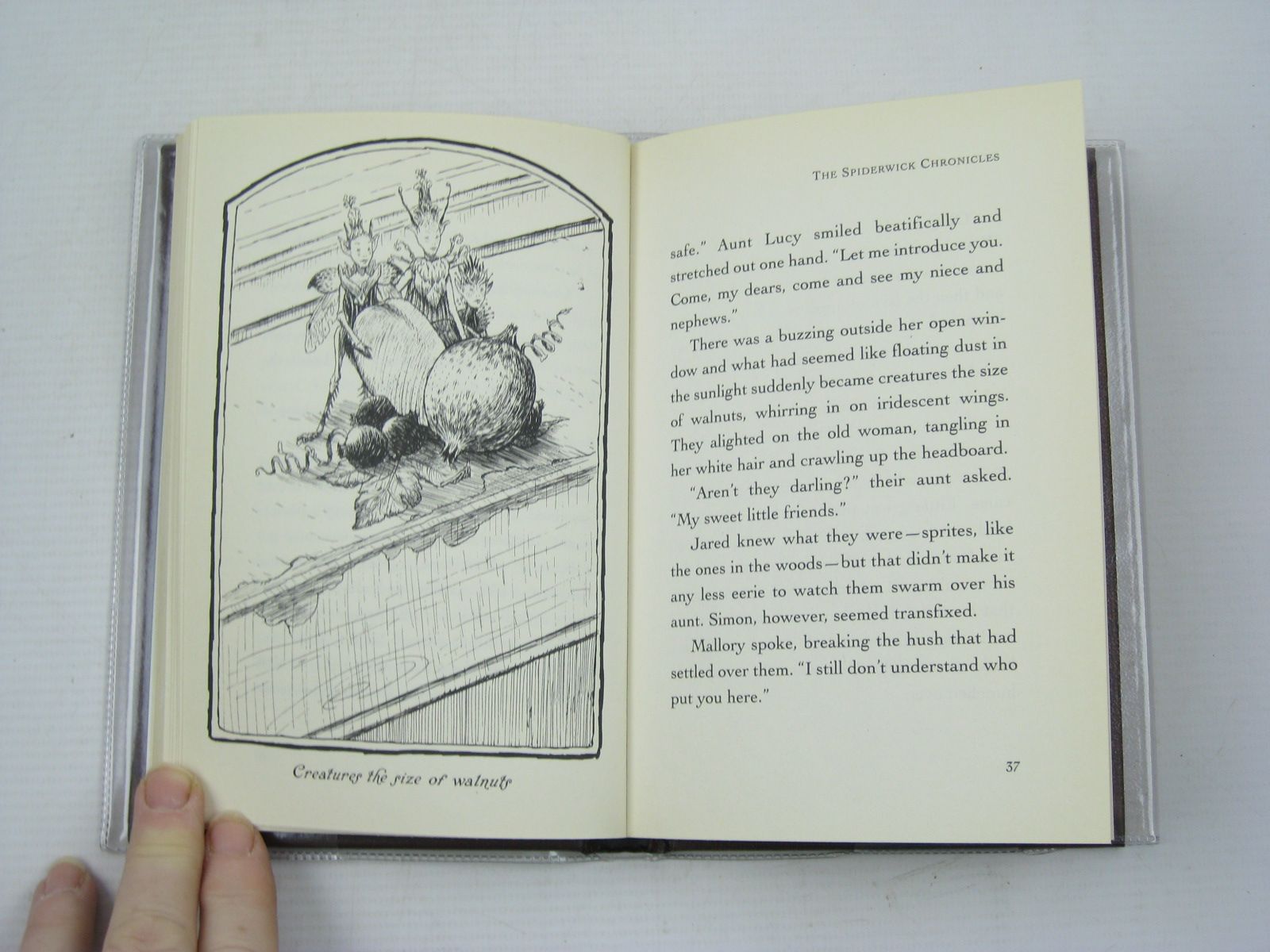Stella & Rose's Books : THE SPIDERWICK CHRONICLES BOOK 3 LUCINDA'S ...