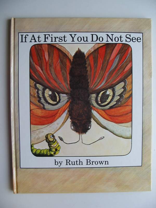 Photo of IF AT FIRST YOU DO NOT SEE written by Brown, Ruth illustrated by Brown, Ruth published by Andersen Press (STOCK CODE: 446656)  for sale by Stella & Rose's Books