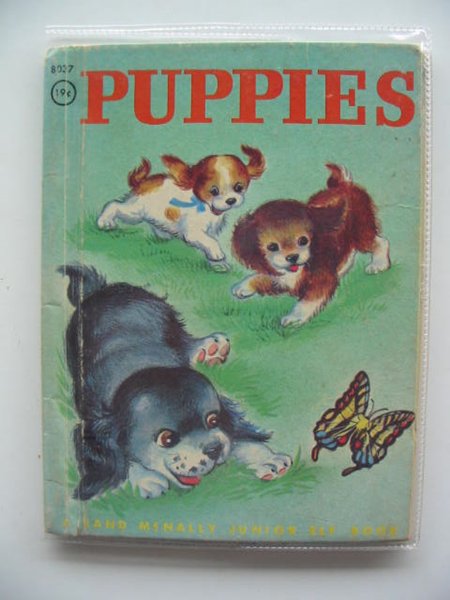 Photo of PUPPIES- Stock Number: 502693