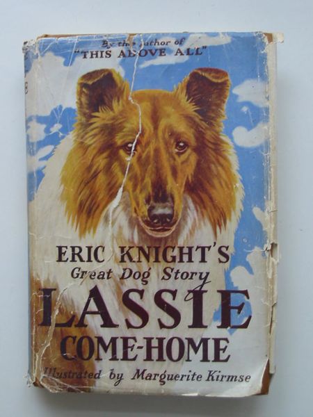 Photo of LASSIE COME-HOME- Stock Number: 596707