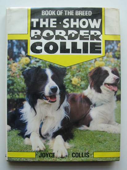 Photo of THE SHOW BORDER COLLIE written by Collis, Joyce published by Ringpress Books (STOCK CODE: 597444)  for sale by Stella & Rose's Books