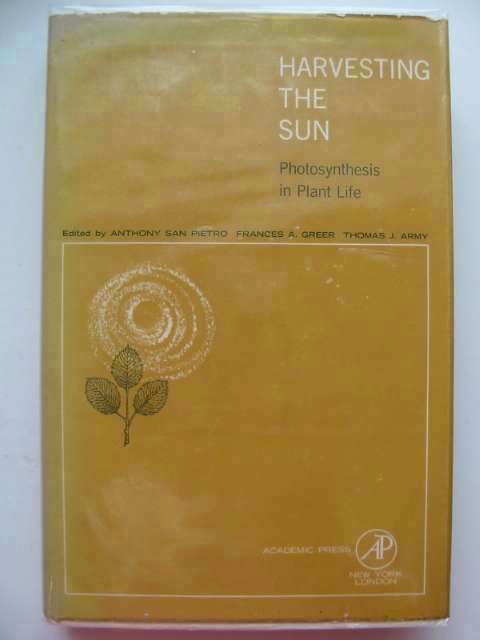 Photo of HARVESTING THE SUN: PHOTOSYNTHESIS IN PLANT LIFE- Stock Number: 613341