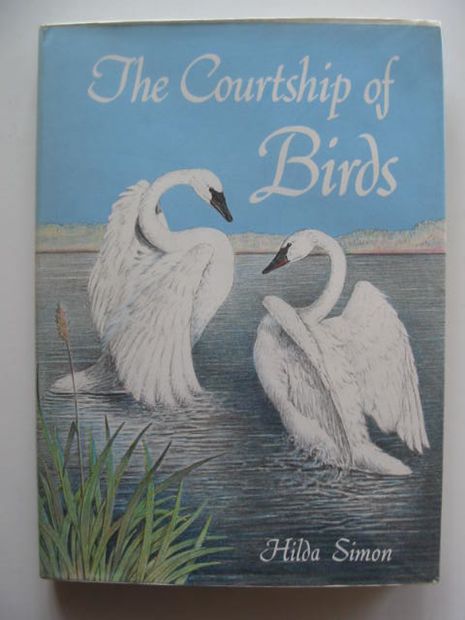 Photo of THE COURTSHIP OF BIRDS written by Simon, Hilda illustrated by Simon, Hilda published by Cassell (STOCK CODE: 614608)  for sale by Stella & Rose's Books