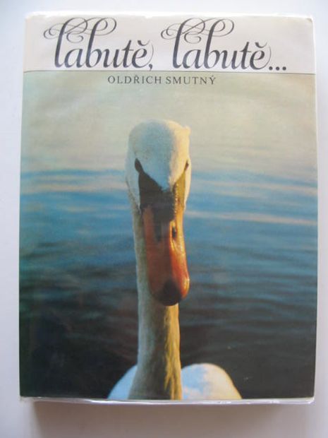 Photo of LABUTE, LABUTE- Stock Number: 616580