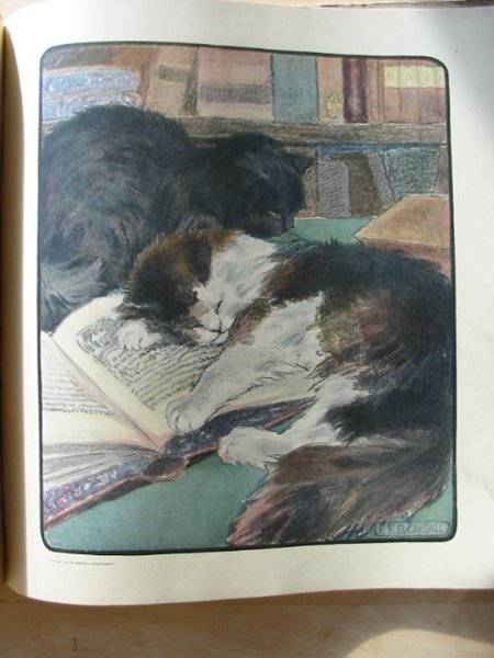Photo of THE BOOK OF THE CAT written by Humphrey, Mabel illustrated by Bonsall, Elisabeth F. published by Lawrence and Bullen (STOCK CODE: 626069)  for sale by Stella & Rose's Books