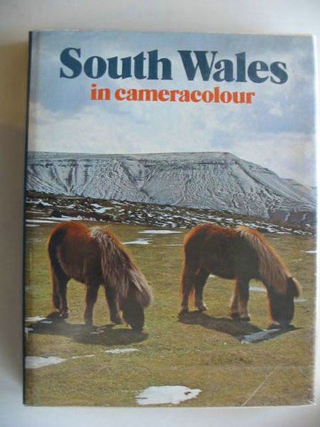 Photo of SOUTH WALES IN CAMERACOLOUR written by Forss, Derek published by Town County Books (STOCK CODE: 666561)  for sale by Stella & Rose's Books